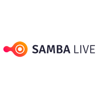 Logo of the company 'Digital Samba'